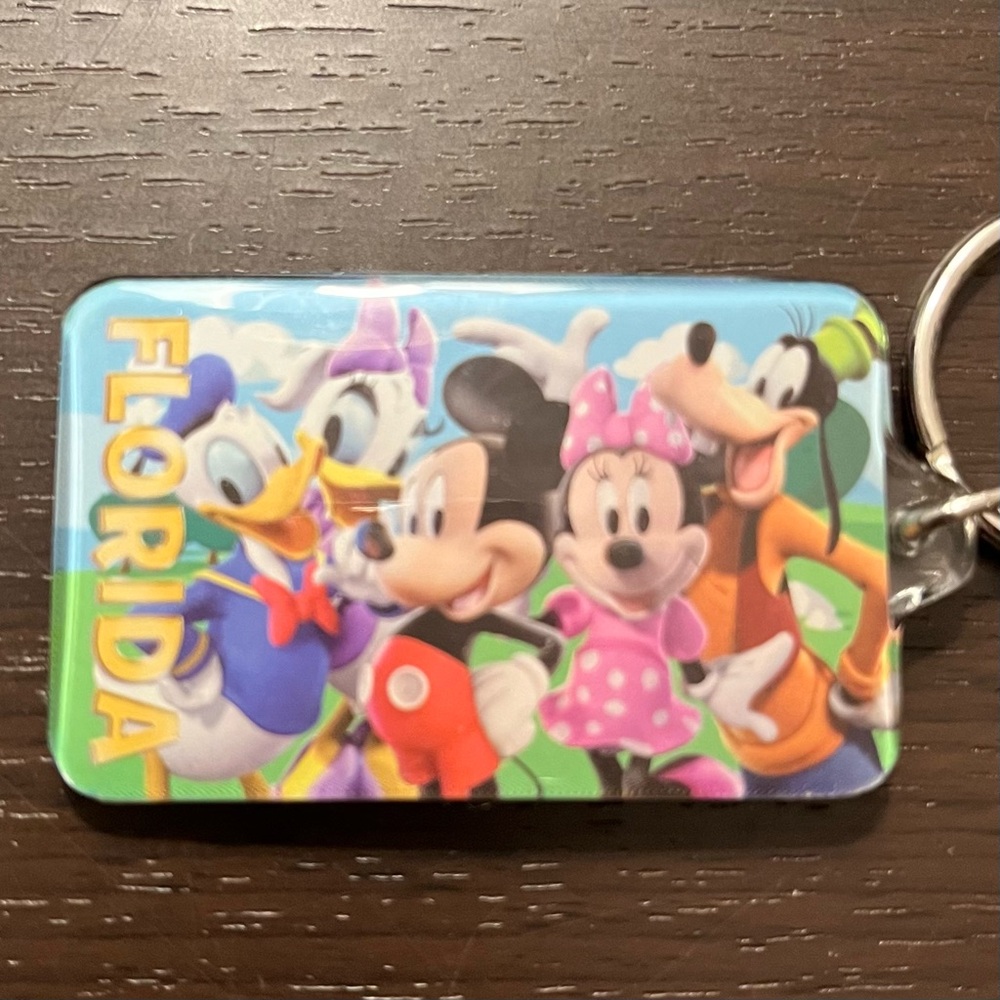 Disney Florida Souvenir Keychain Featuring Mickey Minnie Goofy Donald Daisy NWT